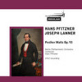 Thumbnail Lanner Pesther Waltz BPO Pfitzer