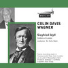 Thumbnail Wagner Siegfried Idyll Sinfonia of London Colin Davis