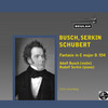 Thumbnail Schubert Fantasie in C major D 934  Busch Serkin