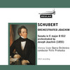 Thumbnail Schubert Grand Duo 3rd Mvt Vienna State Opera Orchestra